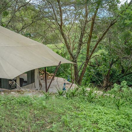 Dolly Farm & River Camp, Luxury Tents Usa River Exterior foto