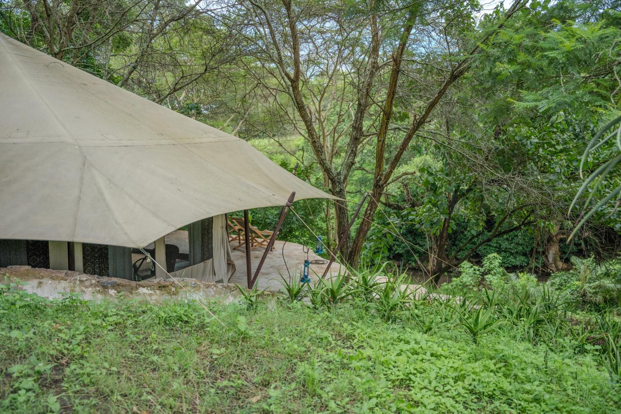 Dolly Farm & River Camp, Luxury Tents Usa River Exterior foto