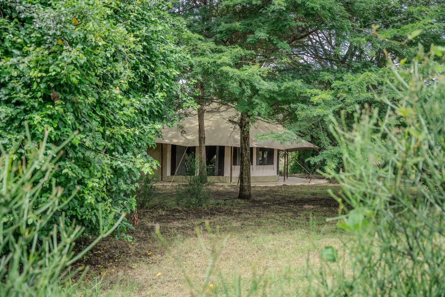 Dolly Farm & River Camp, Luxury Tents Usa River Exterior foto