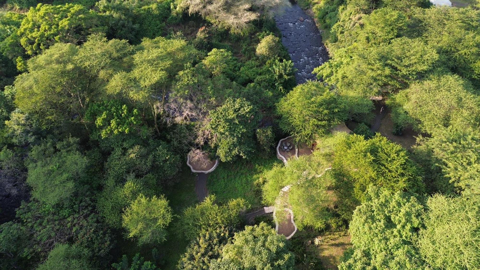 Dolly Farm & River Camp, Luxury Tents Usa River Exterior foto